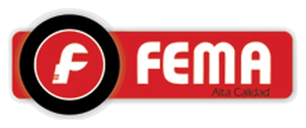 FEMA